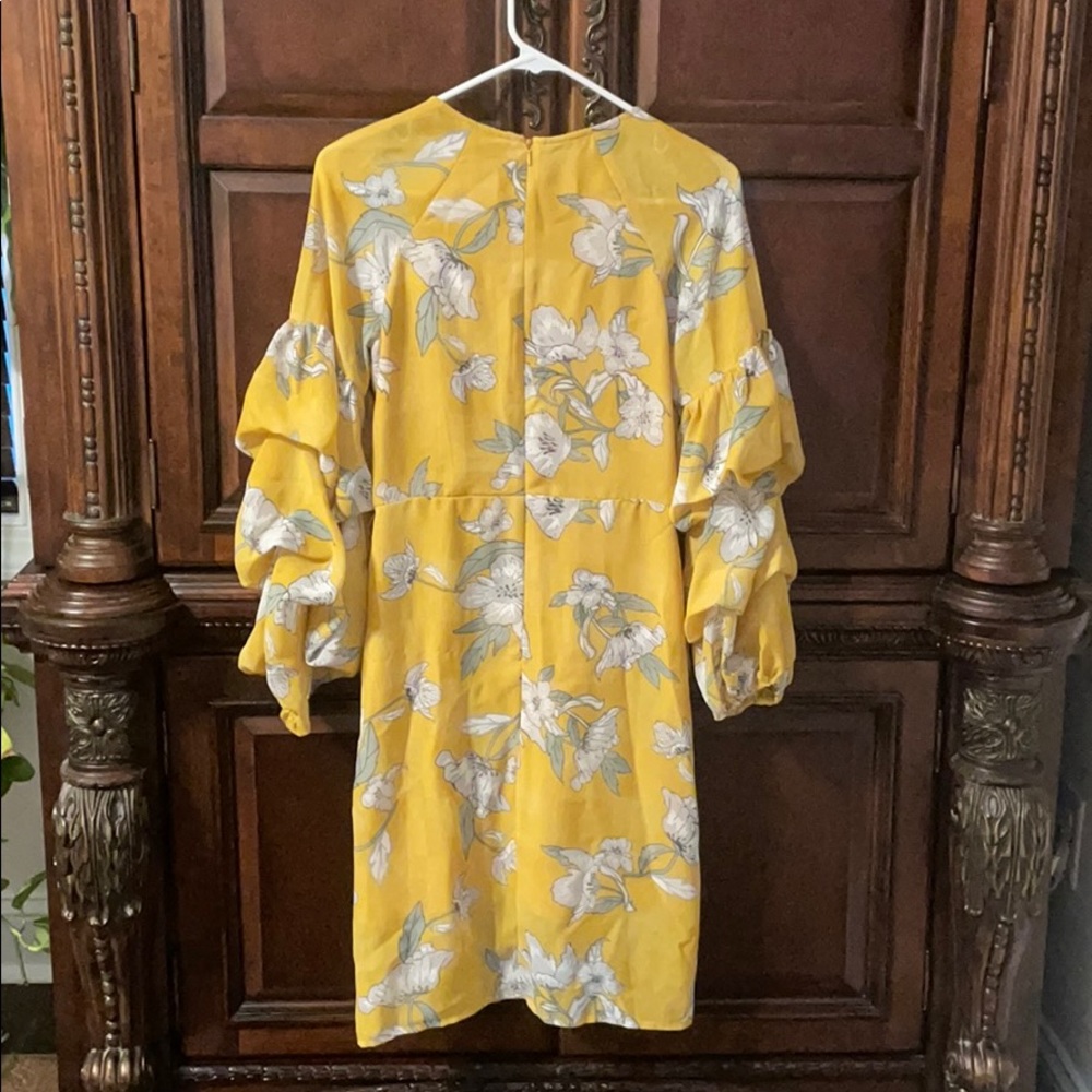 Dress - Picture 2 of 4